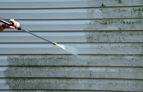 Best Deck Cleaning Services  in Del Rey, CA