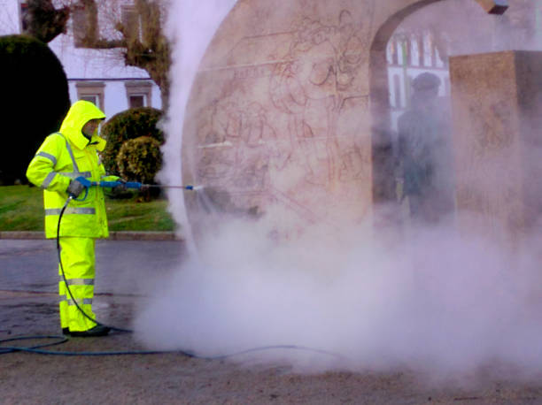 Best Affordable Pressure Washing  in Del Rey, CA